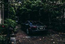 car number plate pricing