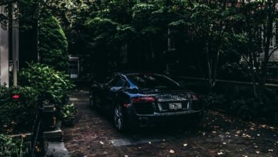 car number plate pricing