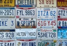 state license plate insights