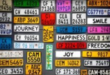 vehicle registration plate basics
