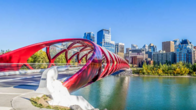 8 Fun Things to Do in Calgary for Adults Who Love New Experiences