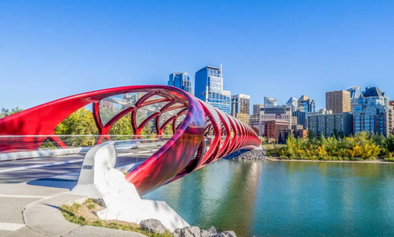 8 Fun Things to Do in Calgary for Adults Who Love New Experiences