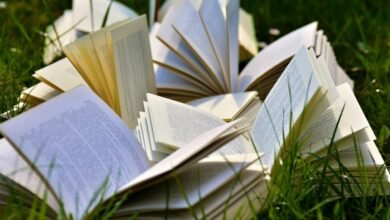 expertise development strategies guide
