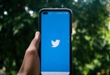 increase social media followers