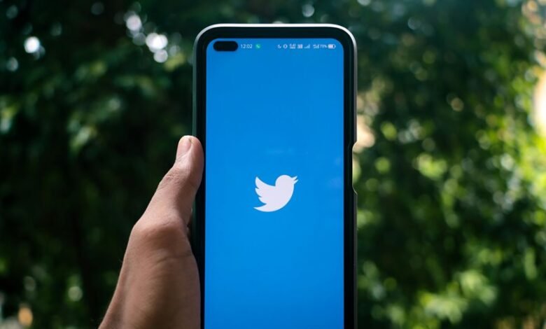 increase social media followers