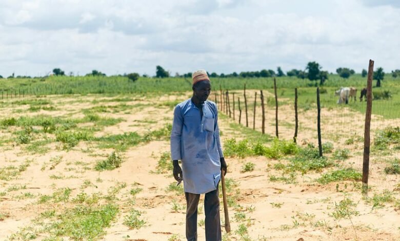 youtube for business growth