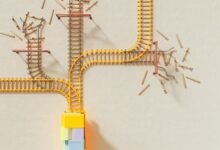 data alignment memorandum summary