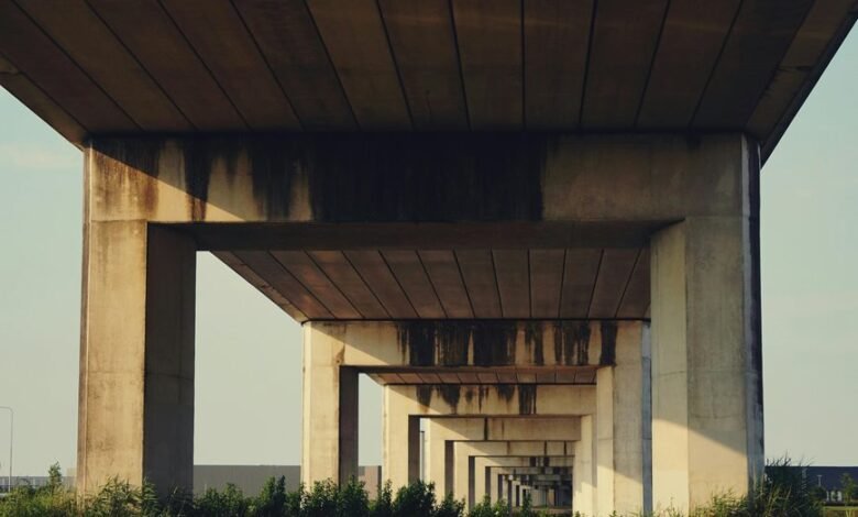 dataset oversight brief verification