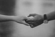 dataset reliability summary provided