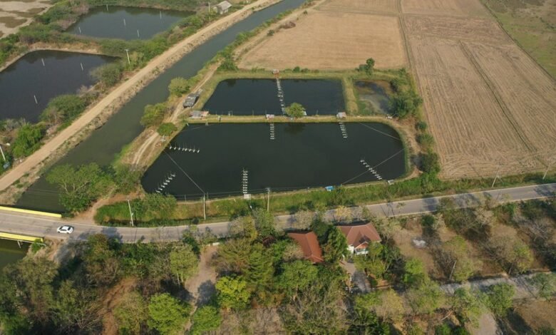 quantitative identifier control overview