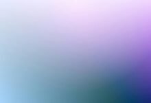 check number overview details