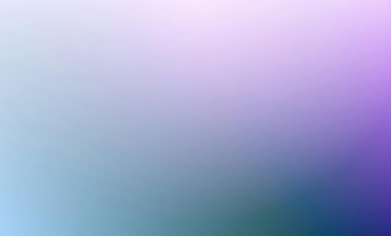 check number overview details