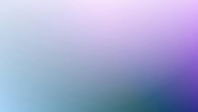 phone number verification request